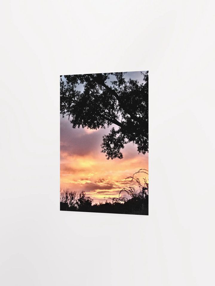 Florida Sunset 3 product image (15)