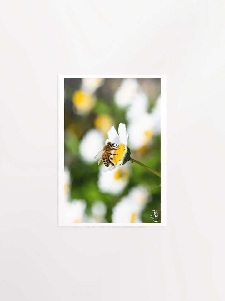 Hello Bees! - Print product image (1)