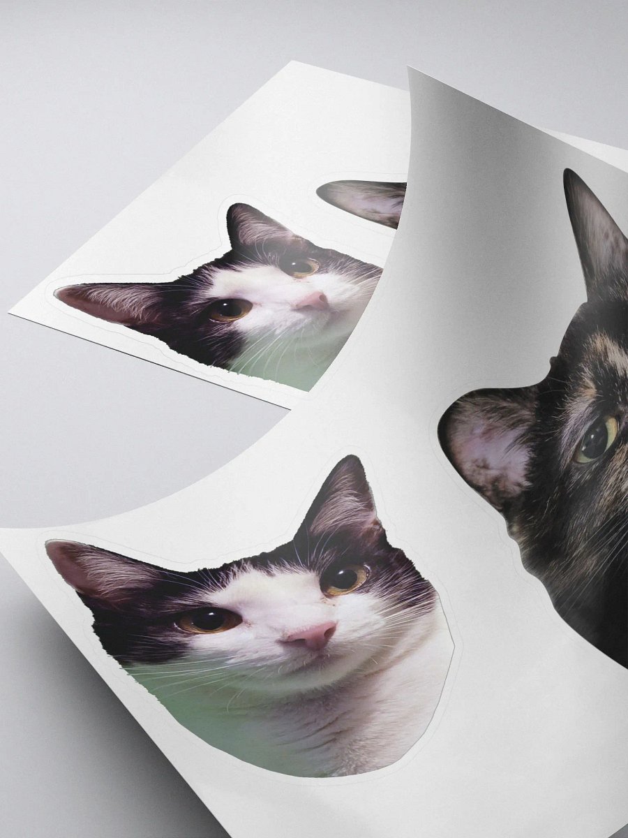 Iris & Roxy Sticker Set product image (4)