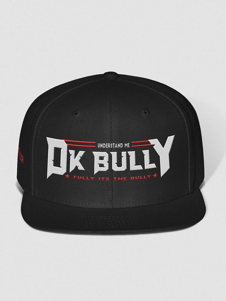 UNDERSTAND FULLY (WOOL HAT ) LD product image (1)