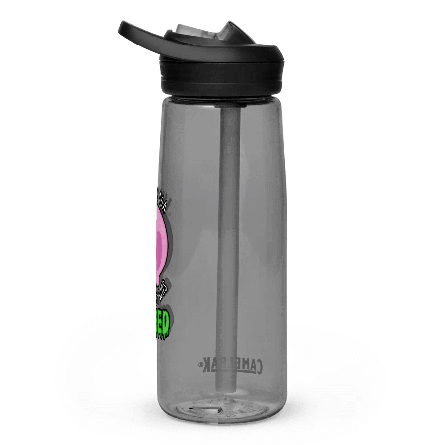 All I Got Was Cursed - Paladin - CamelBak product image (4)