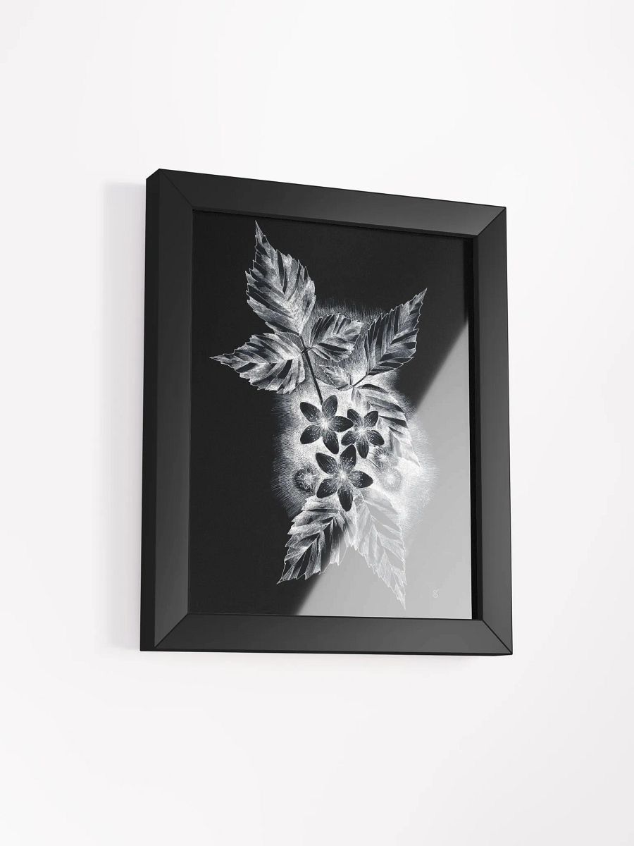 Monochrome Nature Beauty Framed Poster - Dark Jasmine product image (12)