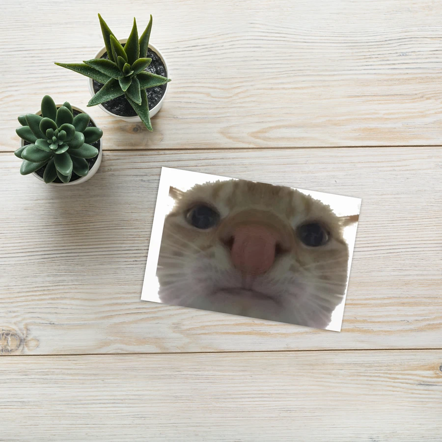 Greeting Card: Meme Cats product image (25)