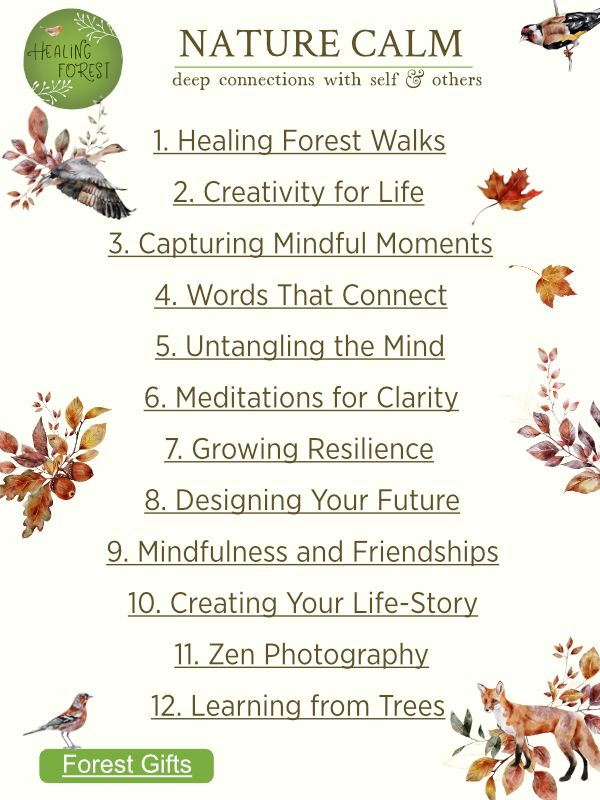 Nature Calm - A Journey of Change product image (2)