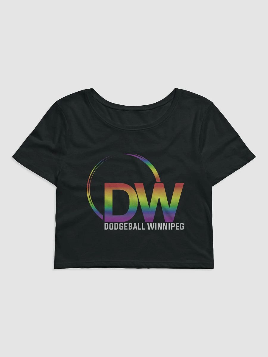 Dodgeball Winnipeg 