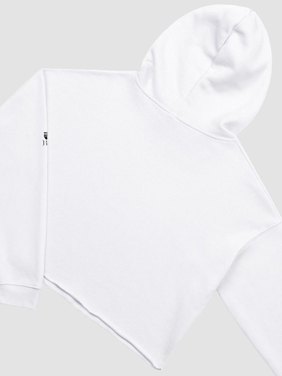Success Tailored for Titans Cropped Hoodie product image (4)
