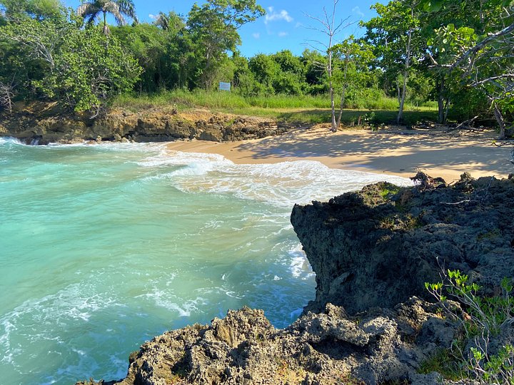 CANGREJO, PUERTO PLATA product image (2)