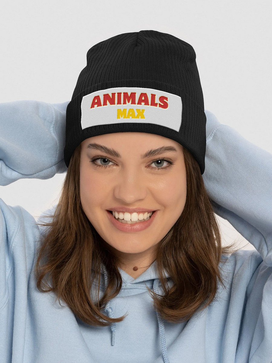 Atlantis Organic Ribbed Knit Hat product image (31)