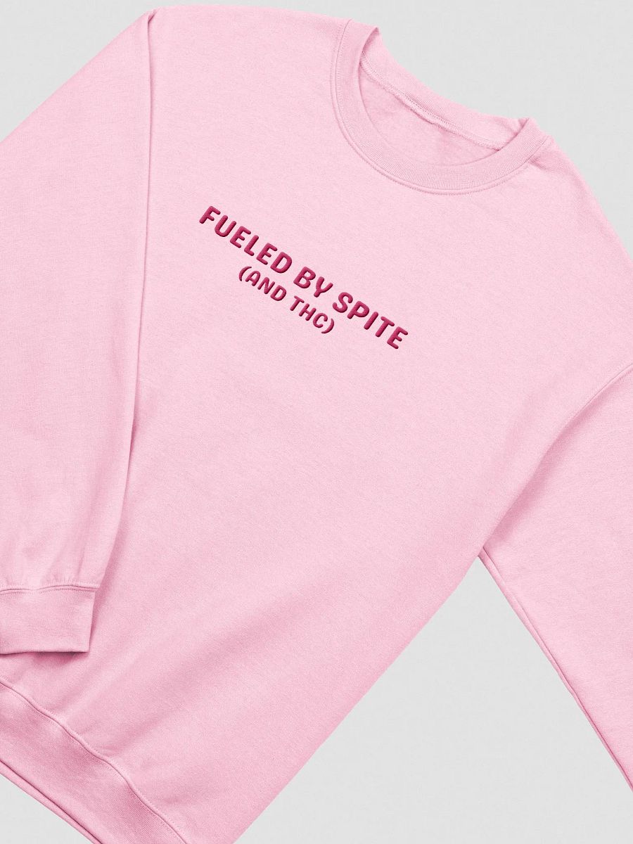 FUELED BY SPITE (pink thread) embroidered classic crewneck product image (12)