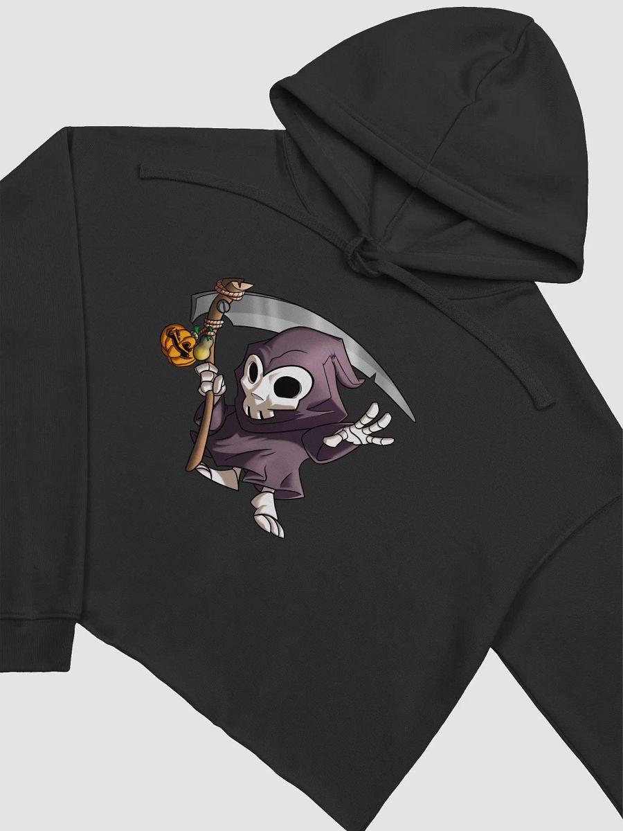 Welyn Crop Top Hoodie product image (3)