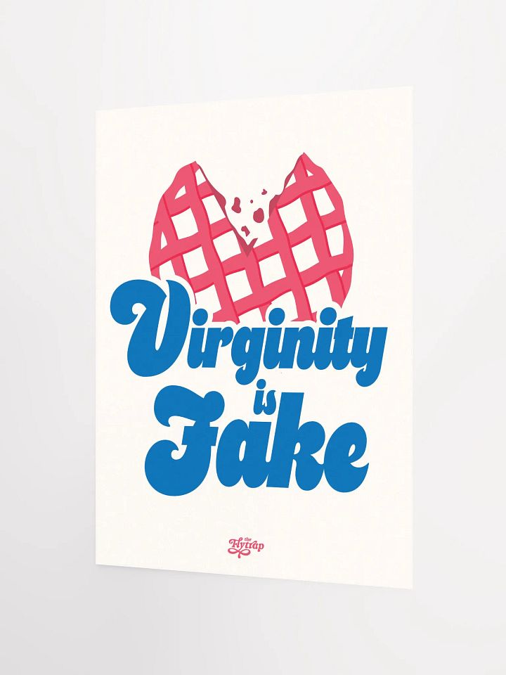 Virginity is Fake 12x16 poster product image (2)