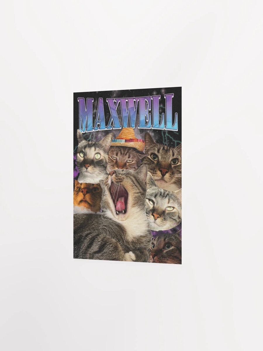 Many Faces of Maxwell - Poster Edition product image (3)