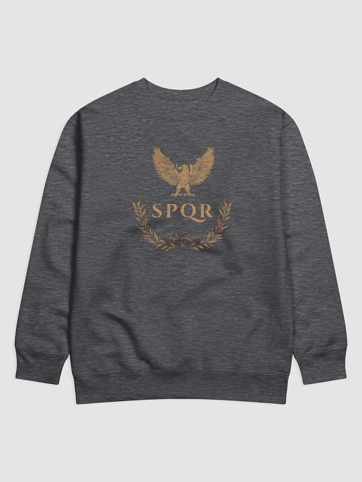 Gold - SPQR Sweater product image (1)
