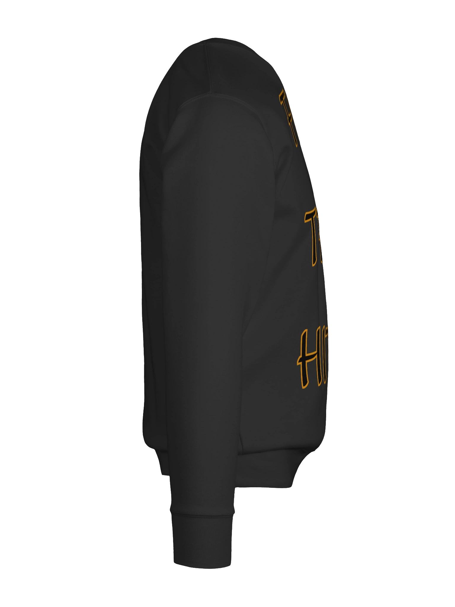 No Kings: F**K Temu Hitler Front Sweatshirt product image (11)