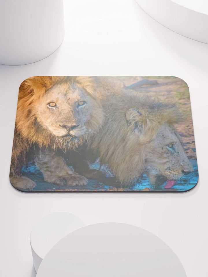 Unique mouse pad with two male lions from Kruger Park product image (1)