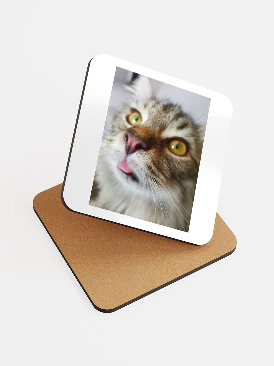 FidgGOON Coaster product image (6)