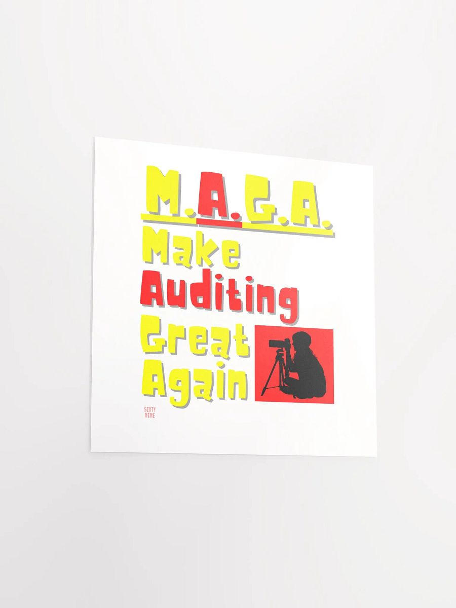 MAKE AUDITING GREAT AGAIN product image (14)