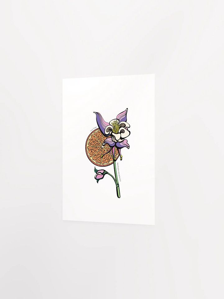 "Aquilegia Canadensis Wild Flower" Print product image (8)