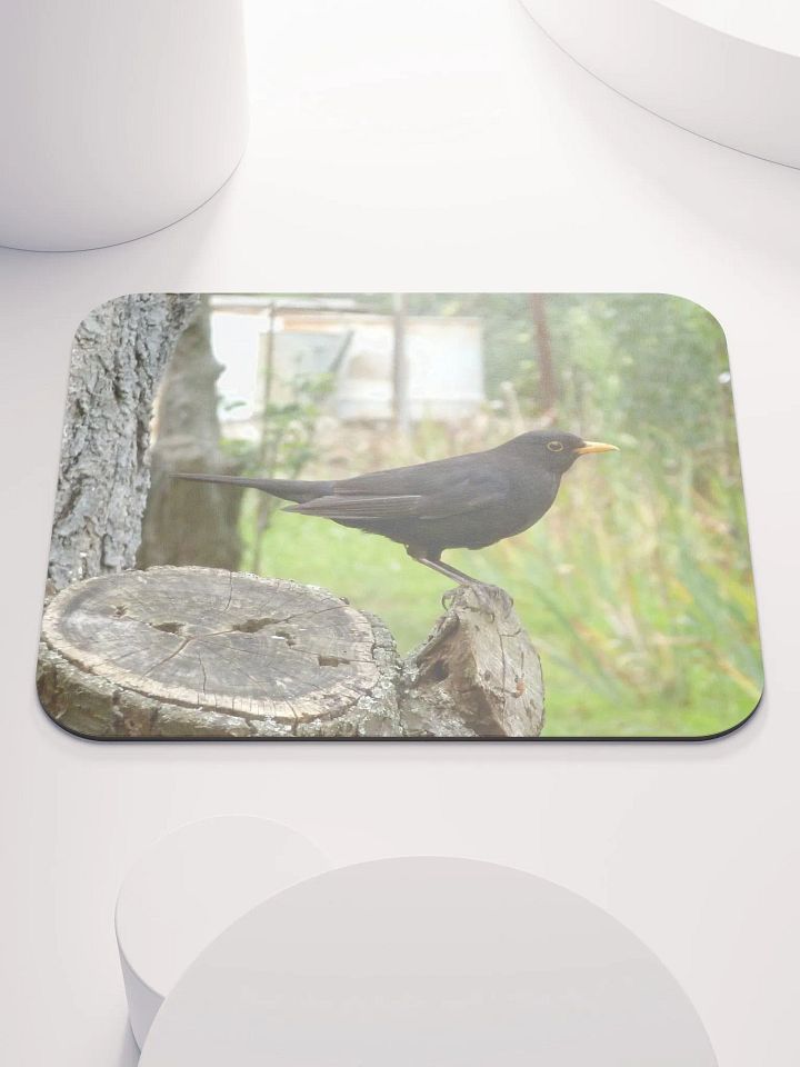 Classic Mouse Pad - The common blackbird product image (1)