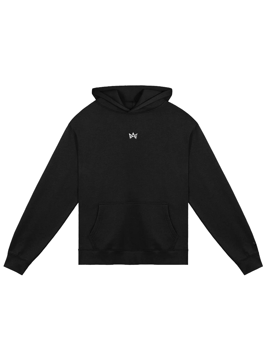 CSG Heavyweight Oversized Hoodie (Unisex) product image (1)