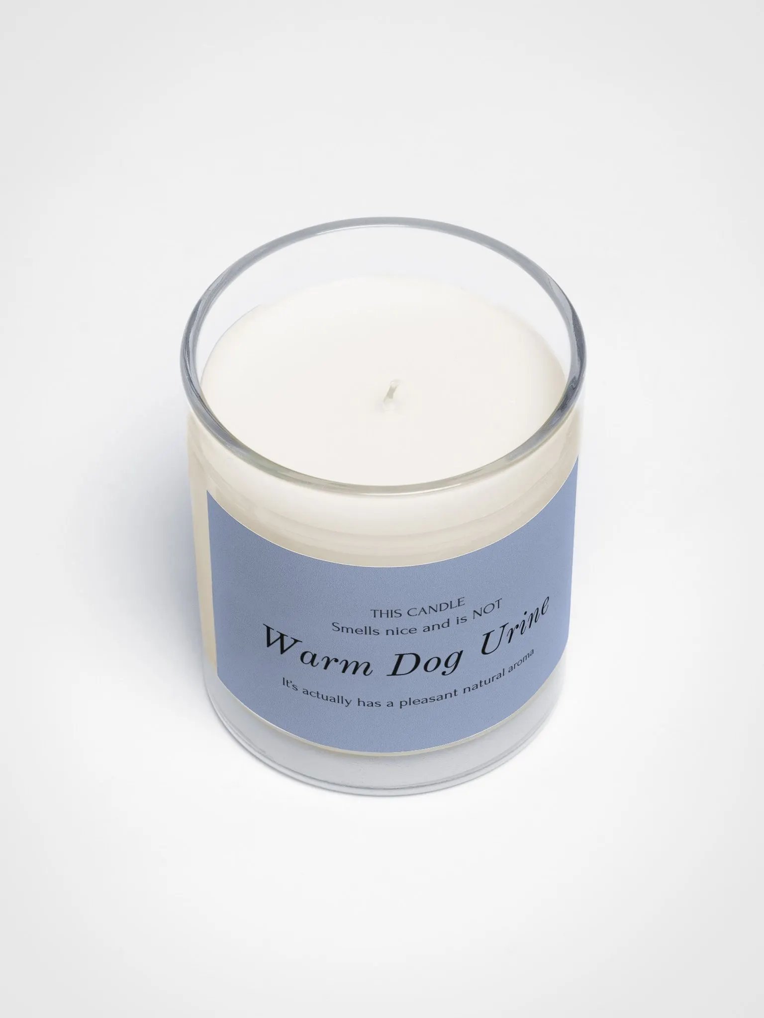 Veterinary humor candle "Warm Dog Urine" product image (3)