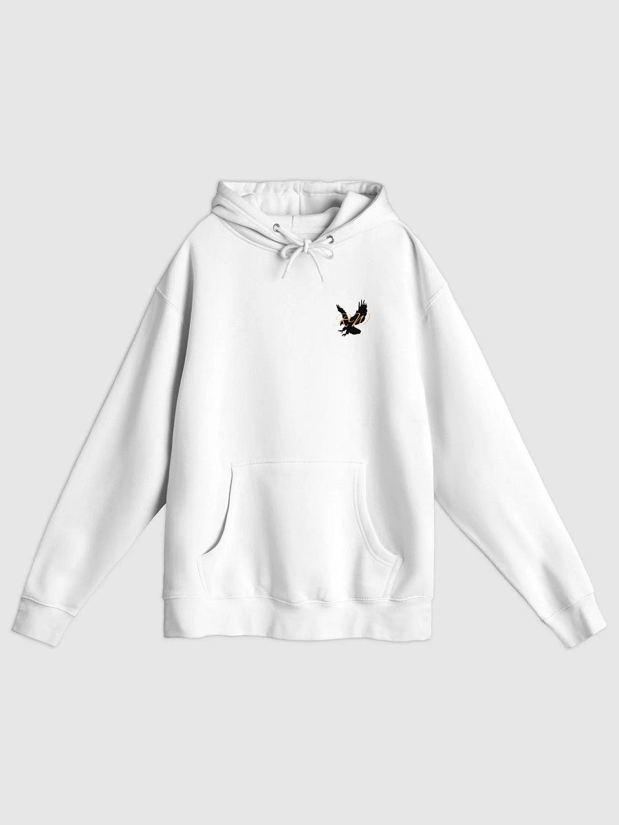 RW SUNSET EAGLE Hoodie product image (33)