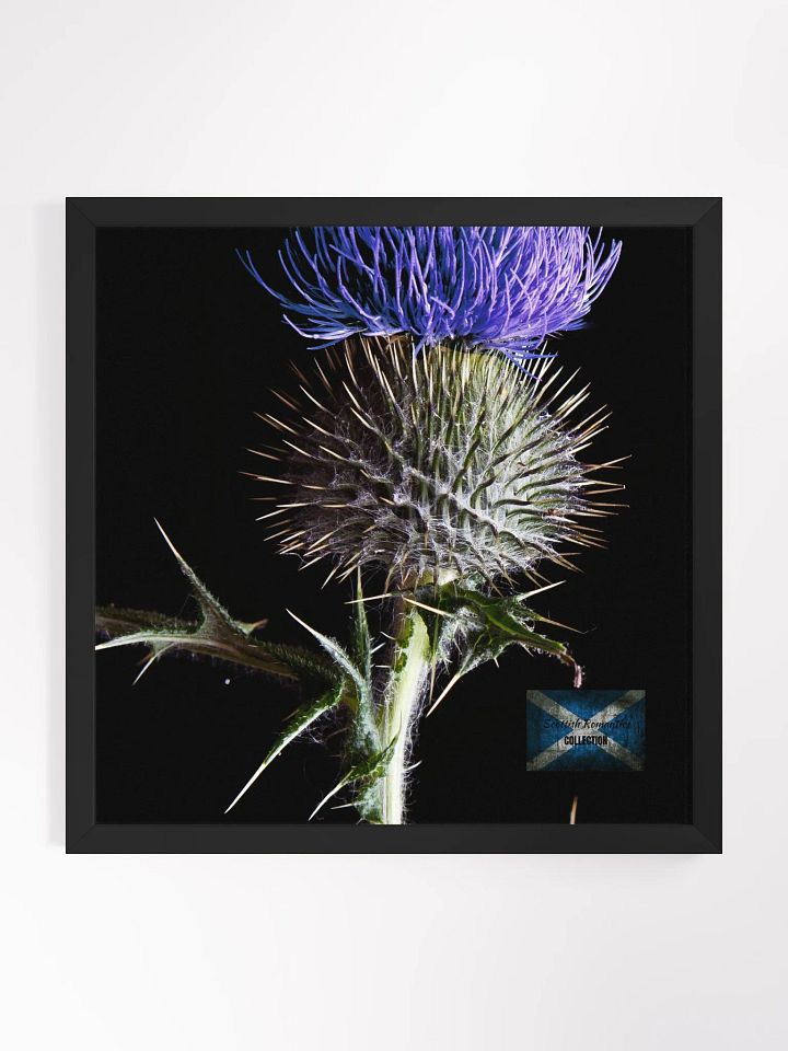 Scottish Romantics Framed Photo product image (1)