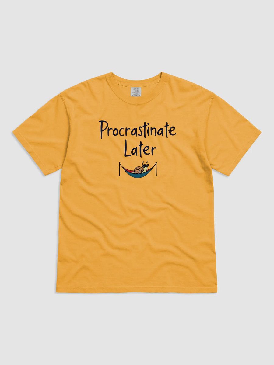 Chillaxing Snail 'Procrastinate Later' Tee product image (1)