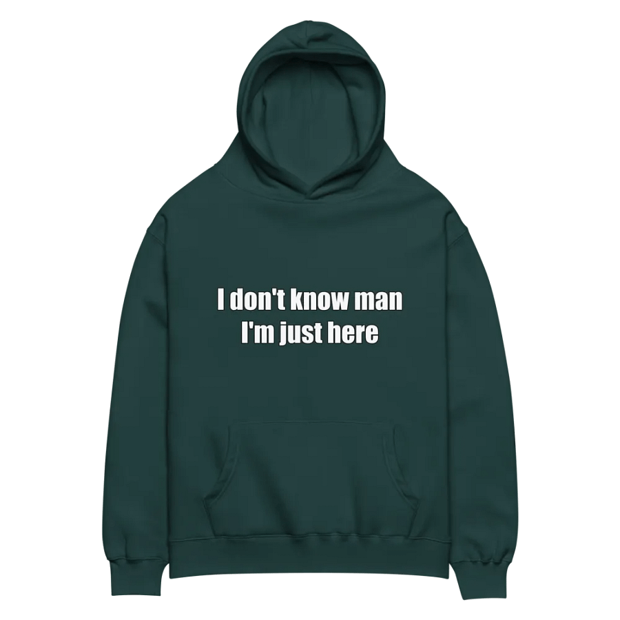 Just Here Premium Hoodie product image (2)