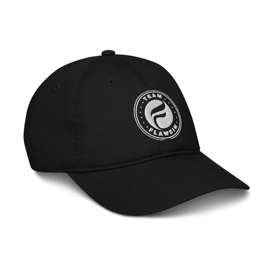 Team Flawsin Econscious Organic Dad Hat product image (6)