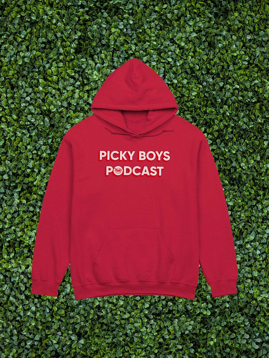 Picky Boys Podcast Hoodie (7 Colors) product image (1)