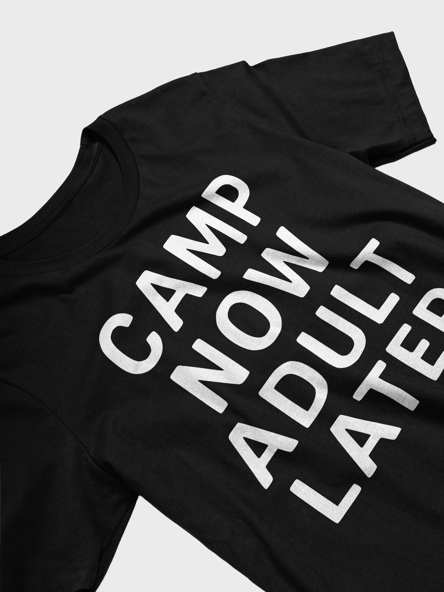 Camp Now Adult Later product image (4)