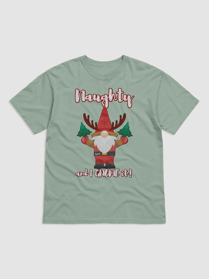 NAUGHTY AND I GNOME IT product image (1)