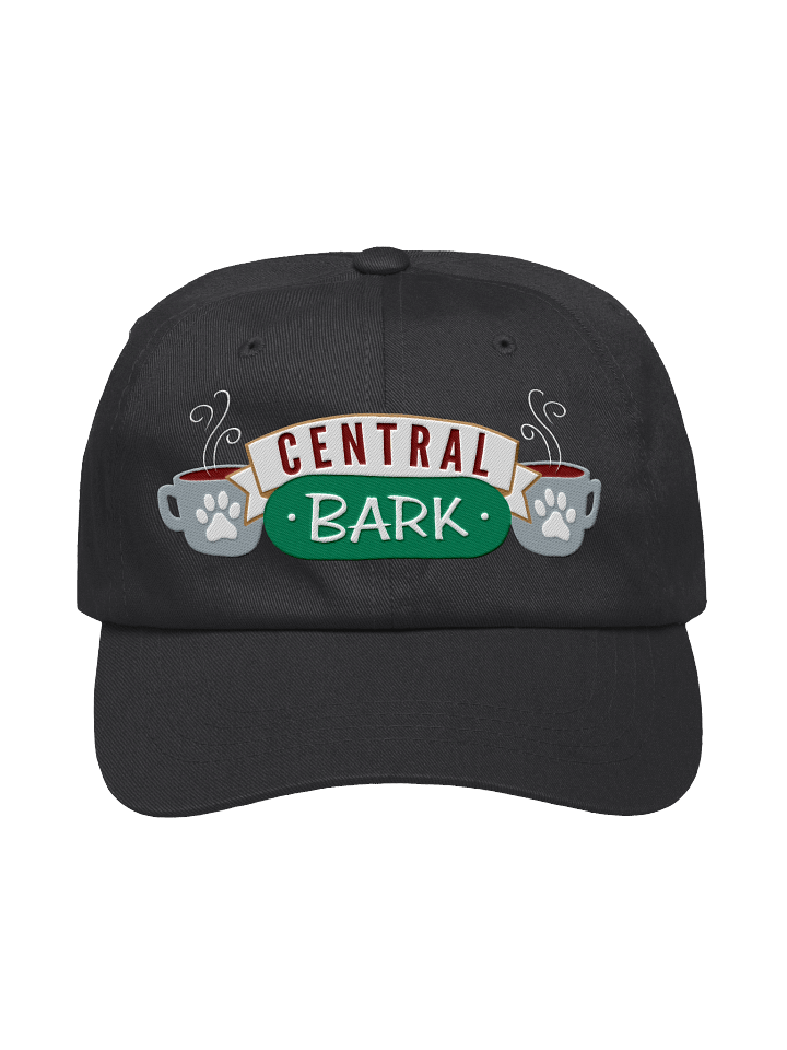 CENTRAL BARK - EMBROIDERED HAT product image (1)