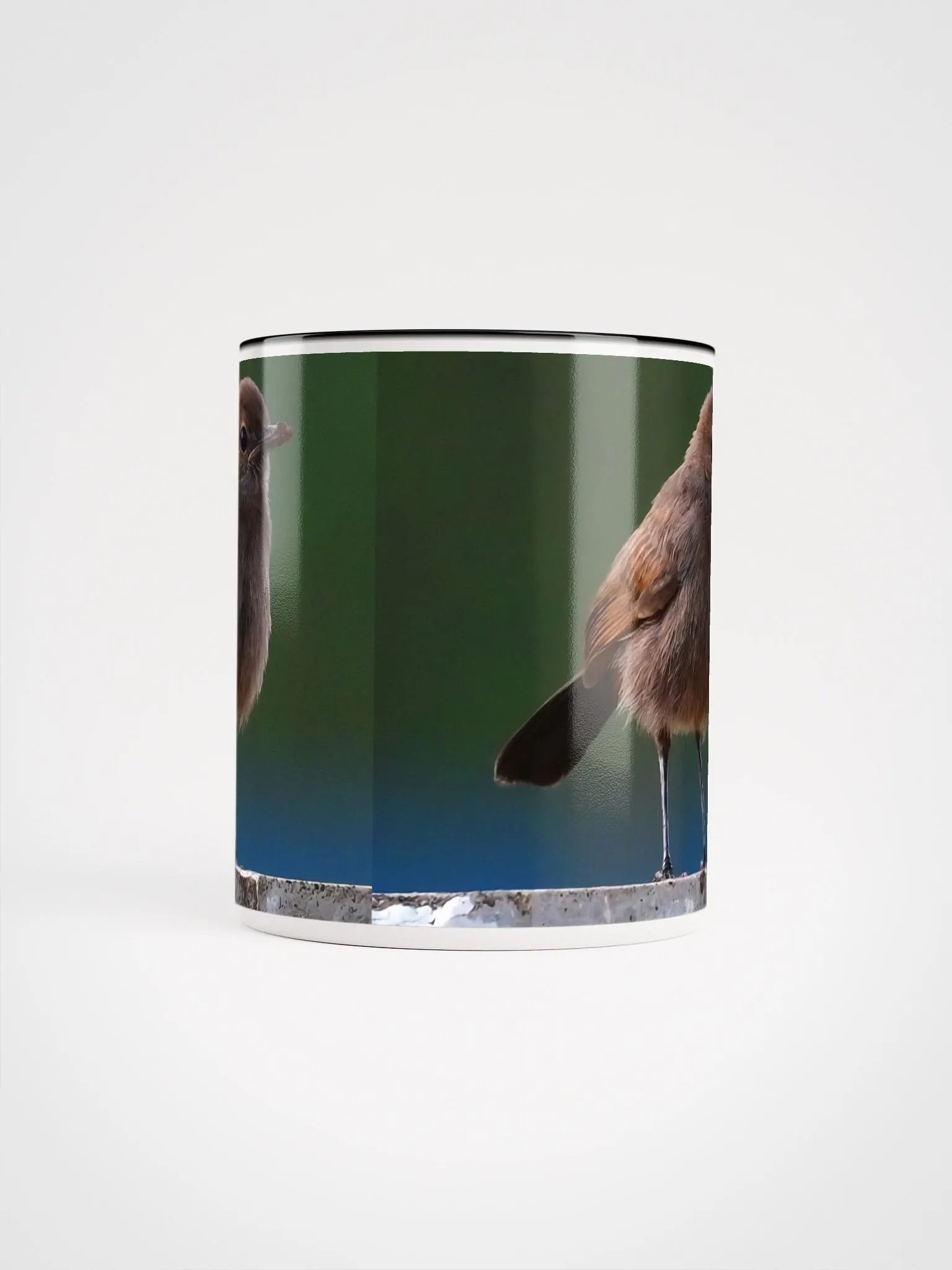 IUCAA Birds MUG product image (5)