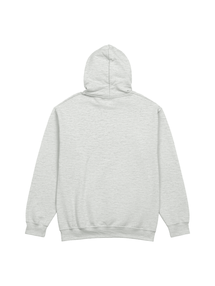 CTE Statement Hoodie II product image (14)
