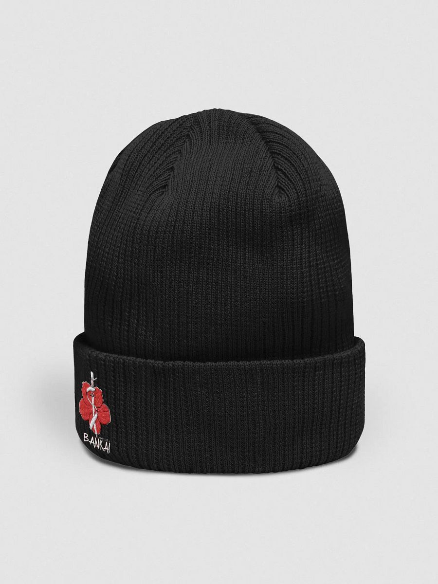Classic Logo Ribbed Beani product image (3)