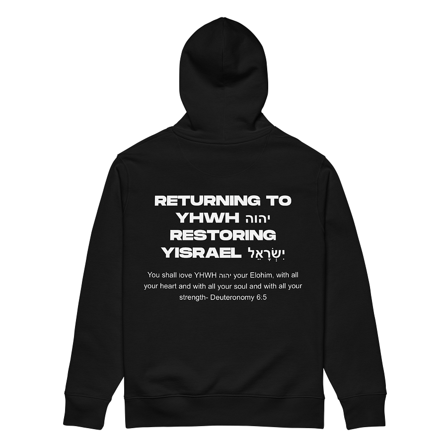 Messiah Family Hoodie product image (6)