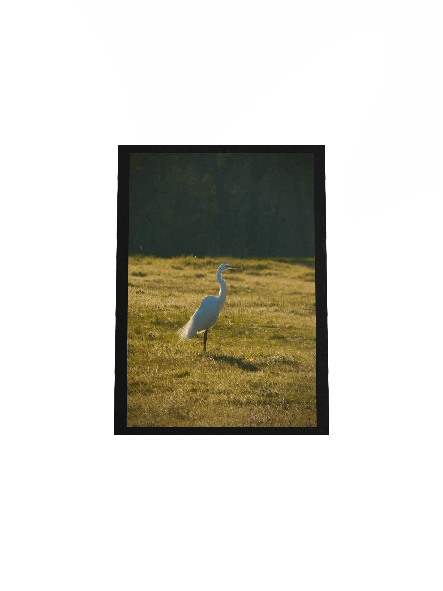 Full of Egrets product image (4)