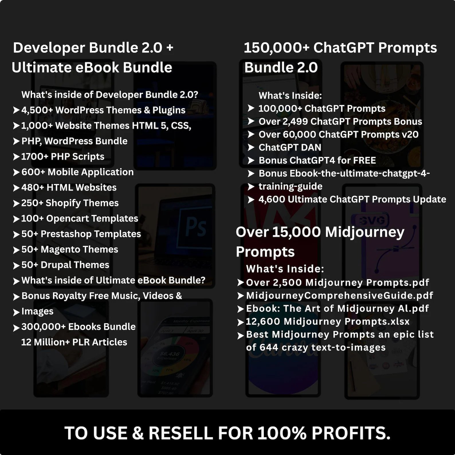 85 Million+ Ultimate PLR MRR Bundle Ideal for Passive Income | Plr Mrr Digital Products| Master Resell Rights | All our PLR Digital Products product image (5)