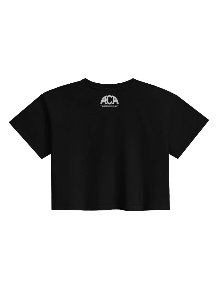 Pride Crop Top product image (2)