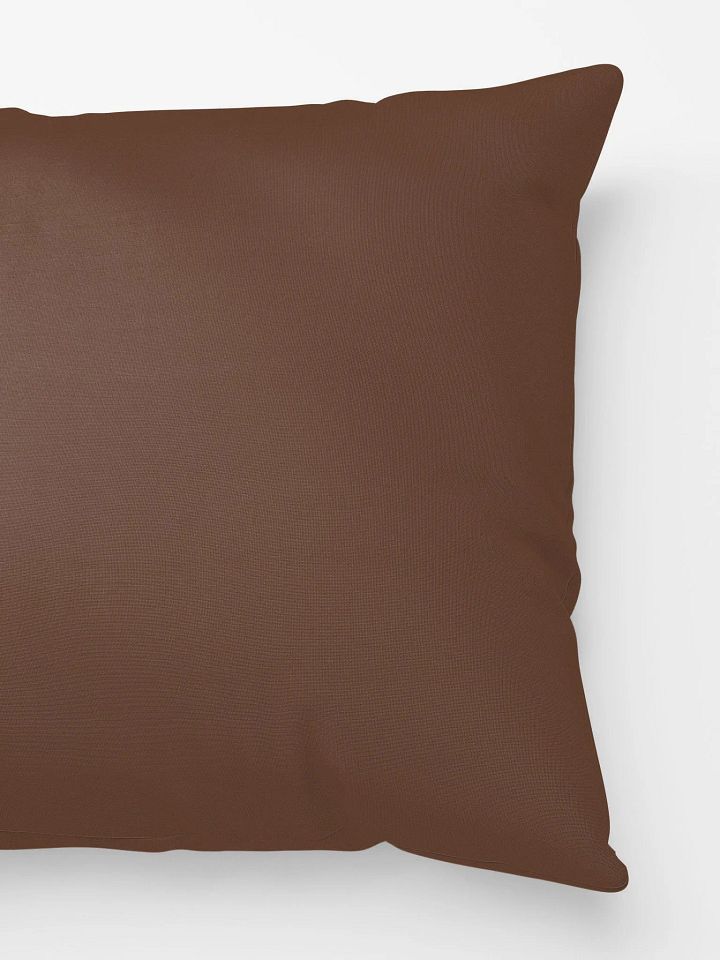 Aesthetic Brown Pillow product image (2)