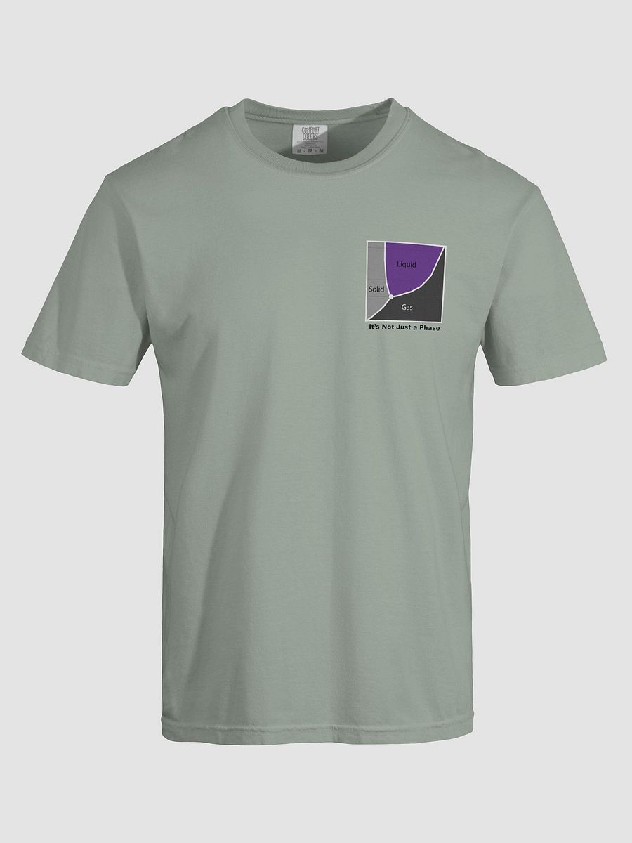 It's Not Just a Phase- Ace T Shirt product image (47)
