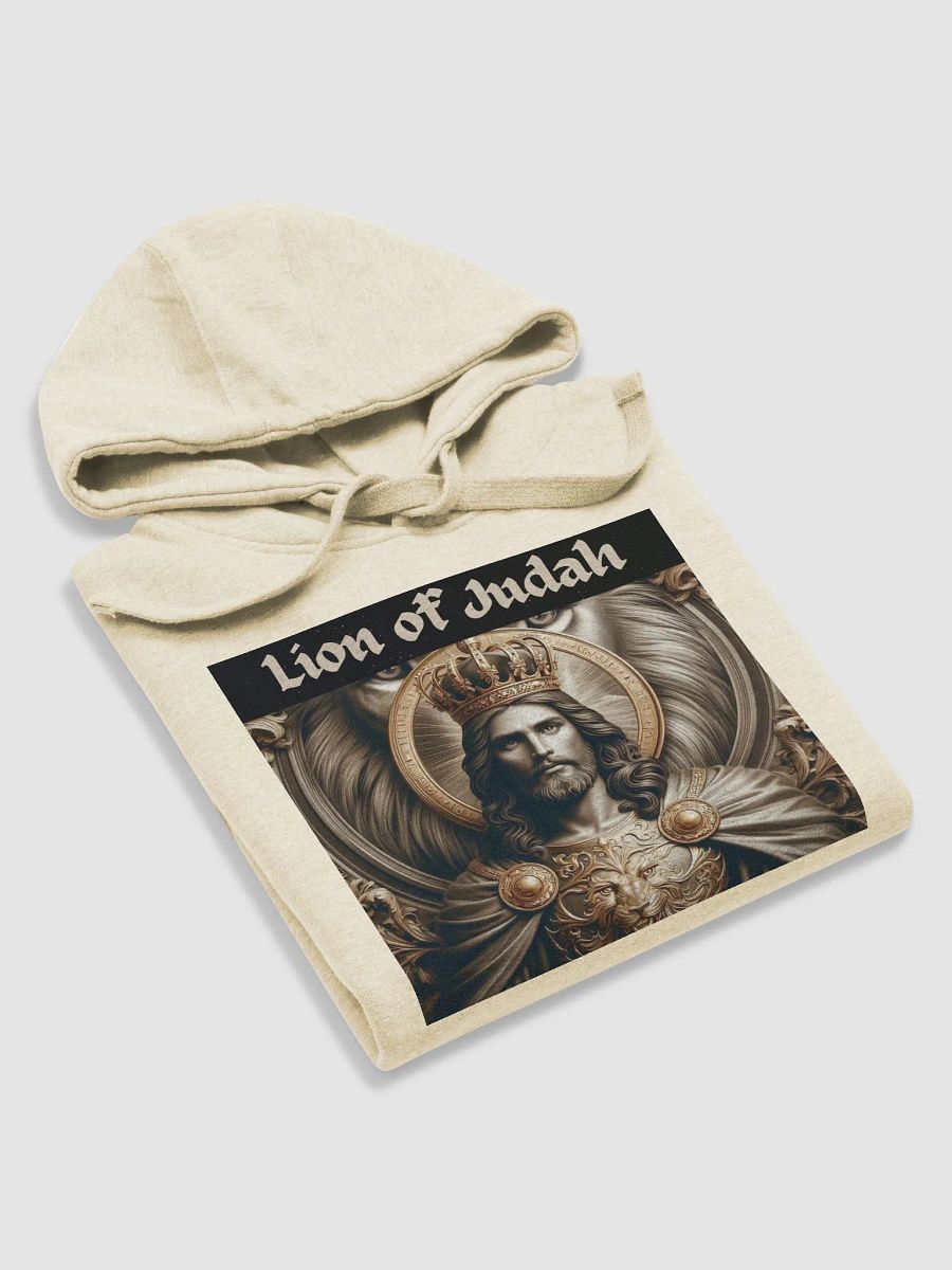 Lion of Judah Hoodie product image (61)