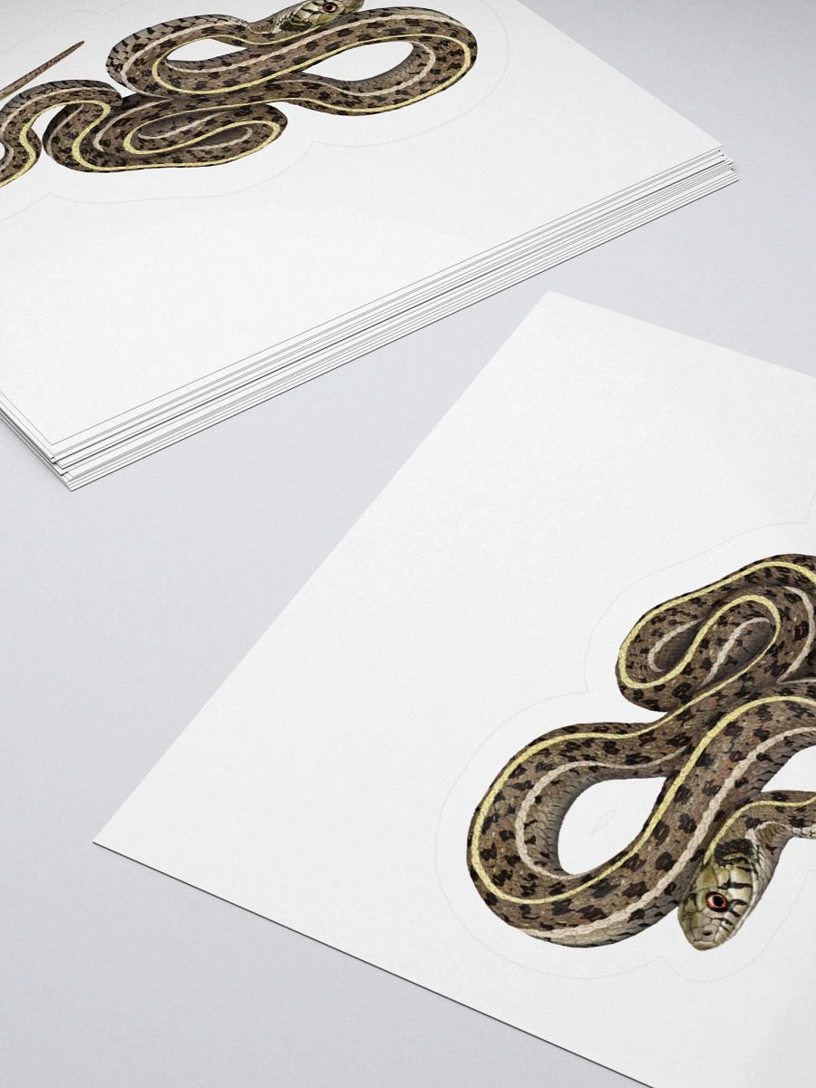 Die-Cut Sticker – Checkered Gartersnake product image (10)
