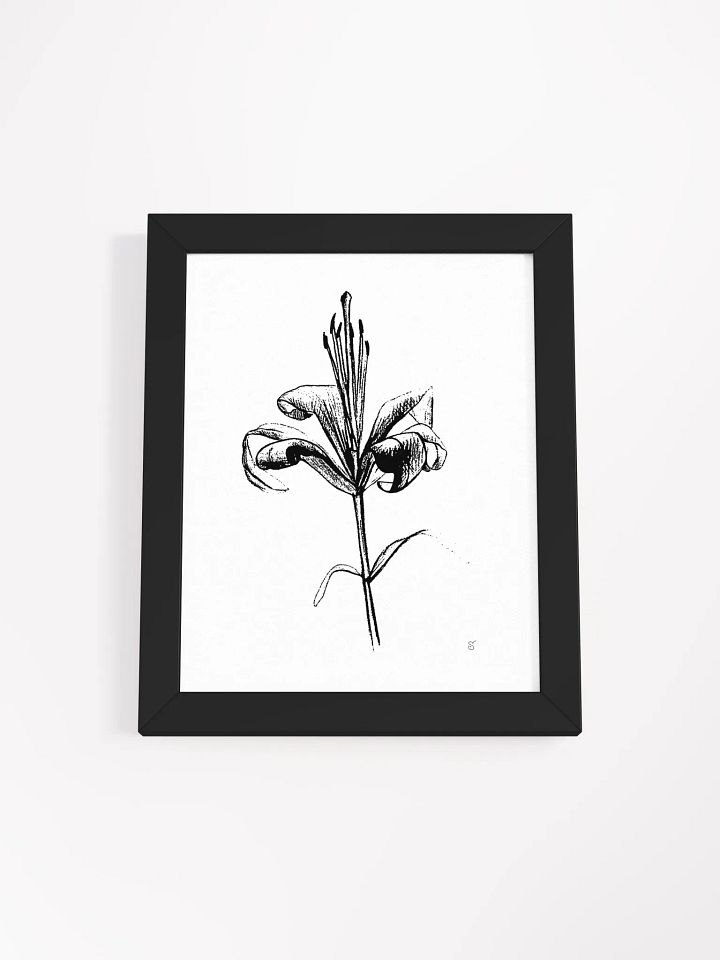 Elegant Lily Bloom Framed Poster - Fine Flower Light product image (3)