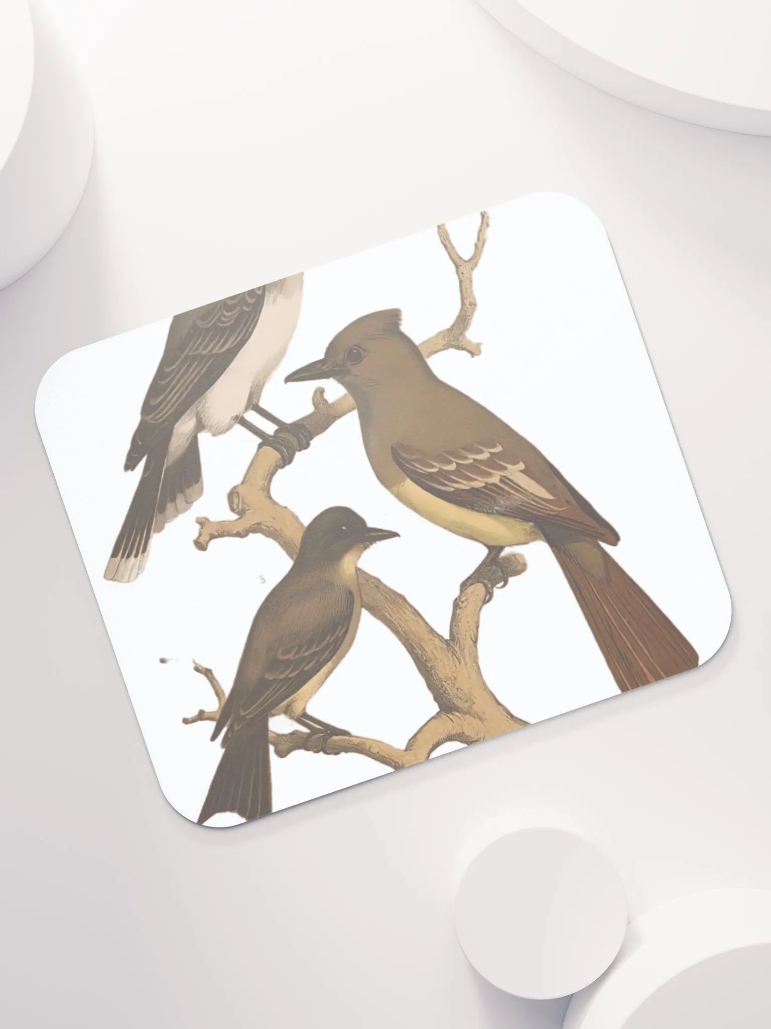 BIRDS IN WINTER product image (7)