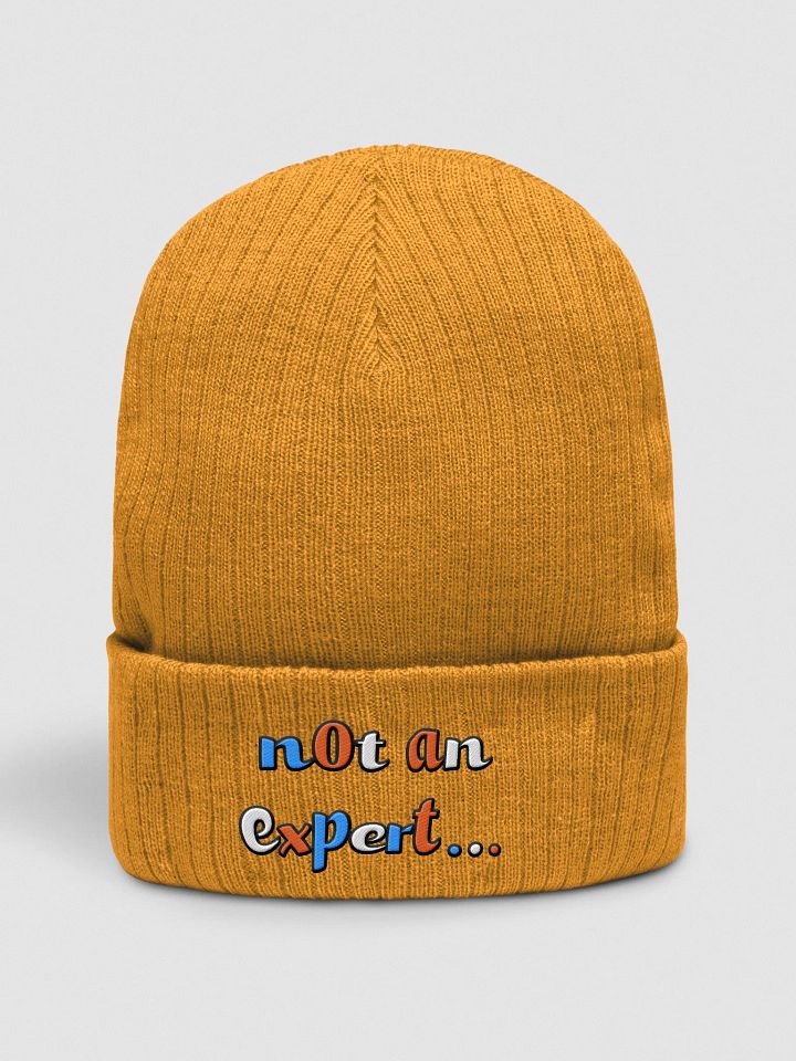 "not an expert..." Colour Beanie product image (1)
