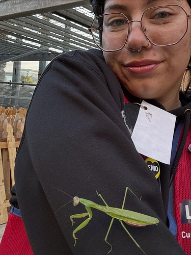 @claude_tenom found a buddy at work! 💜