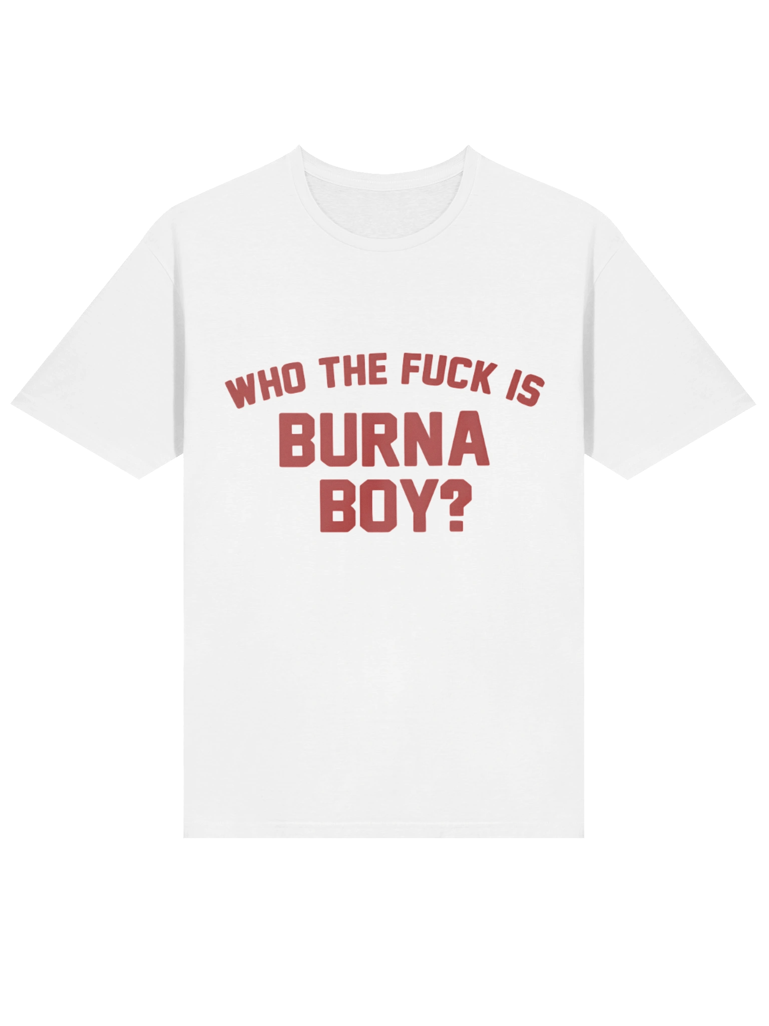 Who the Fuck is Burna Boy? T-Shirt product image (2)